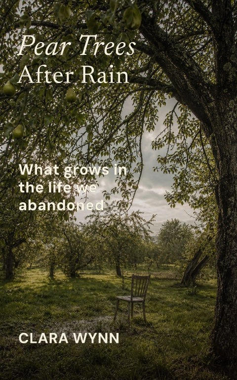 Literary fiction · Orchard after rain book cover template preview with editable typography over place artwork