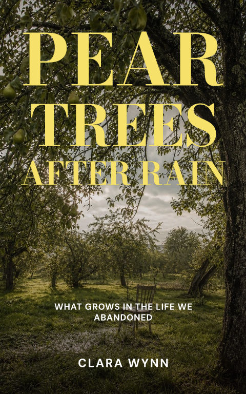 Literary fiction · Orchard after rain book cover template preview with editable typography over place artwork