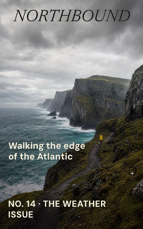Travel zines · Wild coast book cover template preview with editable typography over place artwork