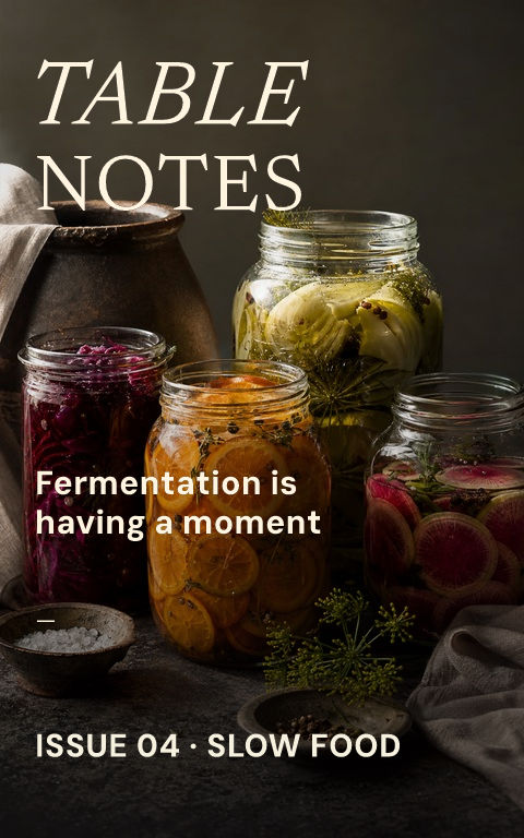 Culture magazines · Fermentation table book cover template preview with editable typography over object artwork